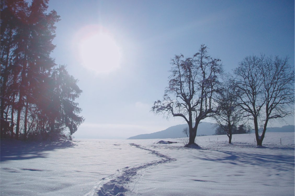  Winterlandschaft