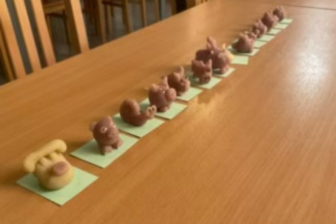  Schweineparade